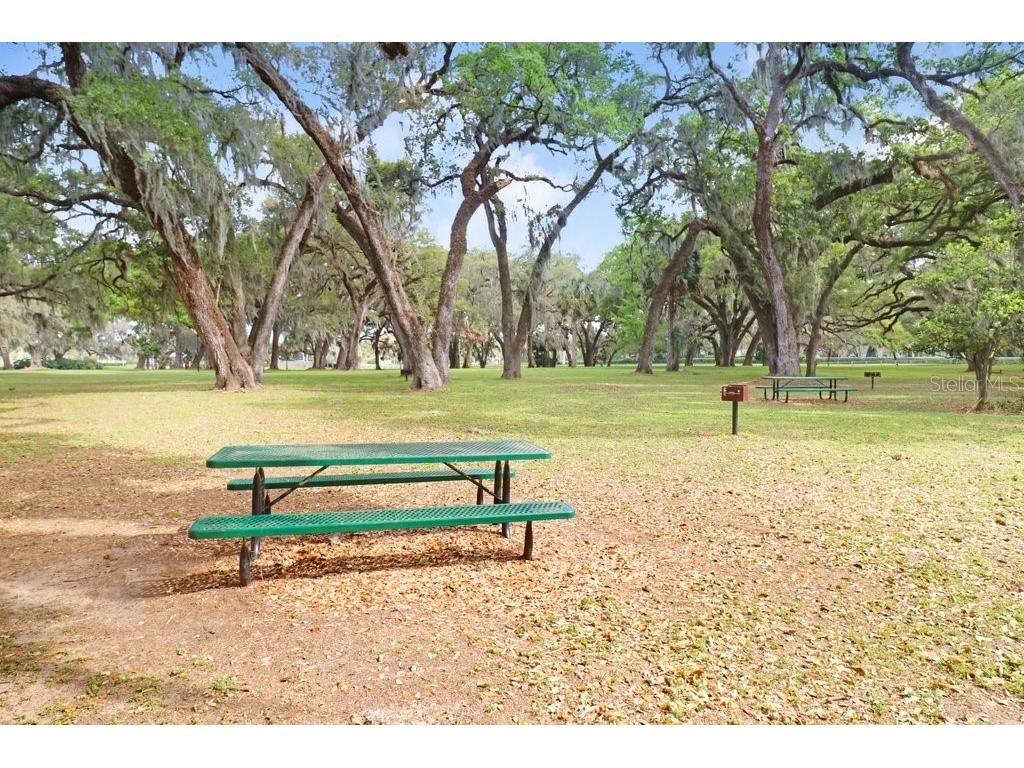 3026 Partridge Point Trail Valrico FL 33594 TB8498701 image52