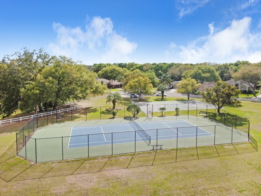 3026 Partridge Point Trail Valrico FL 33594 TB8498701 image54