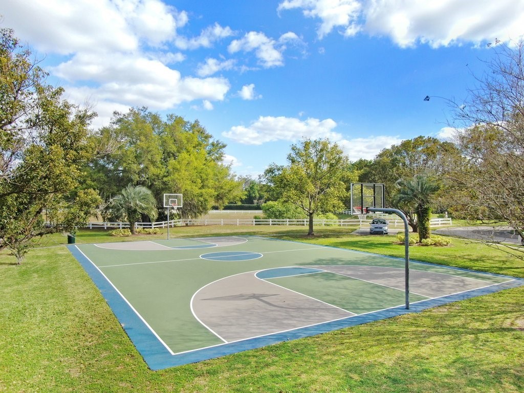 3026 Partridge Point Trail Valrico FL 33594 TB8498701 image55