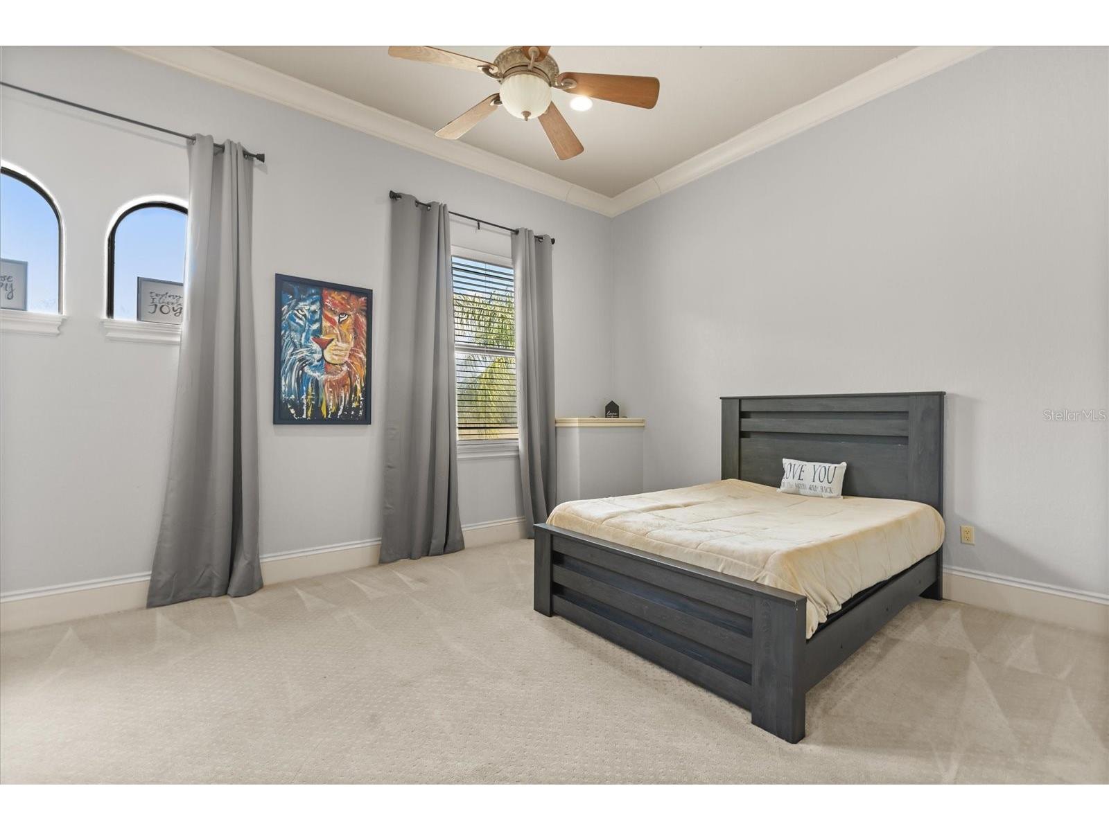 3026 Porto Lago Court Windermere FL 34786 - LAKE DOWN O6381606 image48