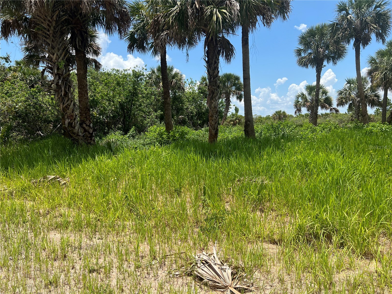 3026 Sage Avenue SW Palm Bay FL 32908 G5090441 image3