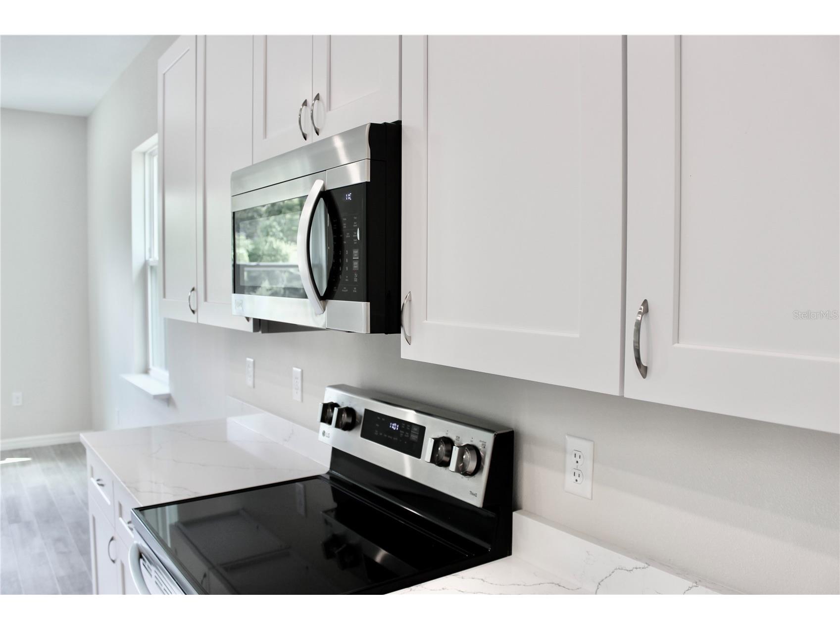 30260 W Thyme Avenue Eustis FL 32736 - LAKE NORRIS AND LAKE MARION G5109428 image14