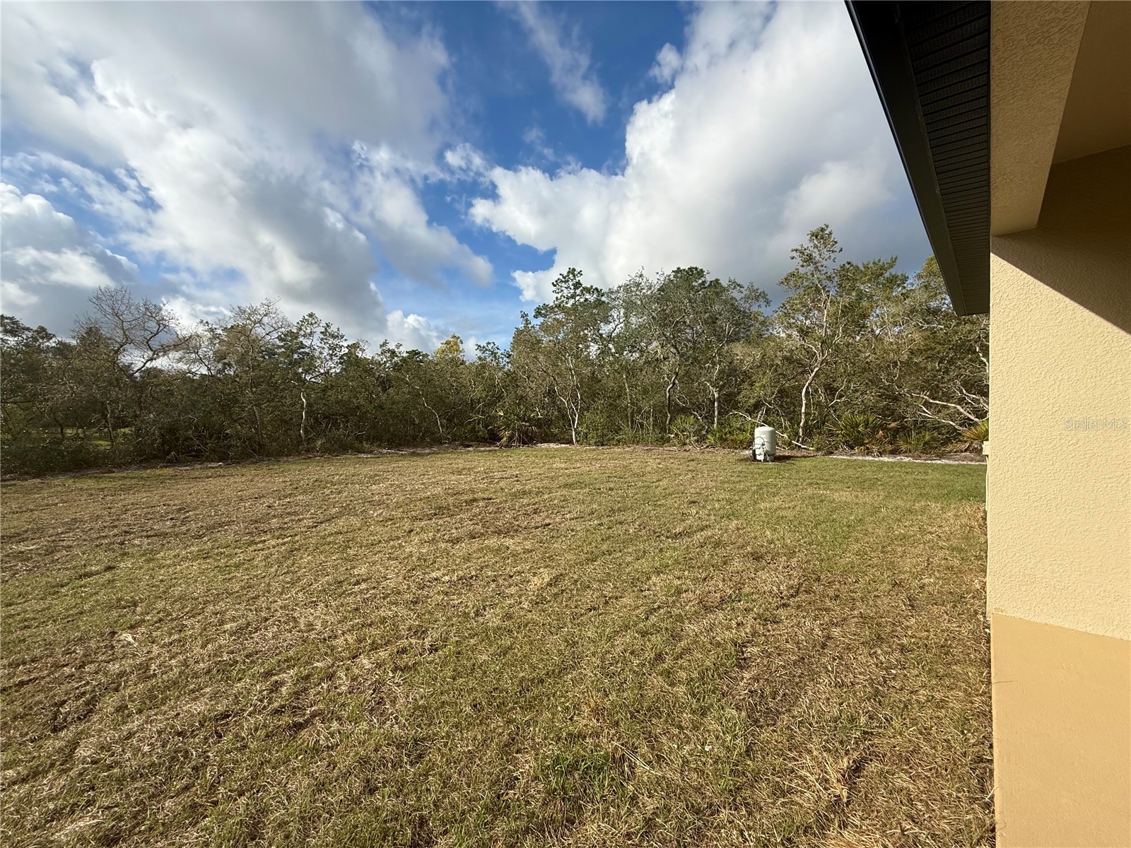 30260 W Thyme Avenue Eustis FL 32736 - LAKE NORRIS AND LAKE MARION G5109428 image37