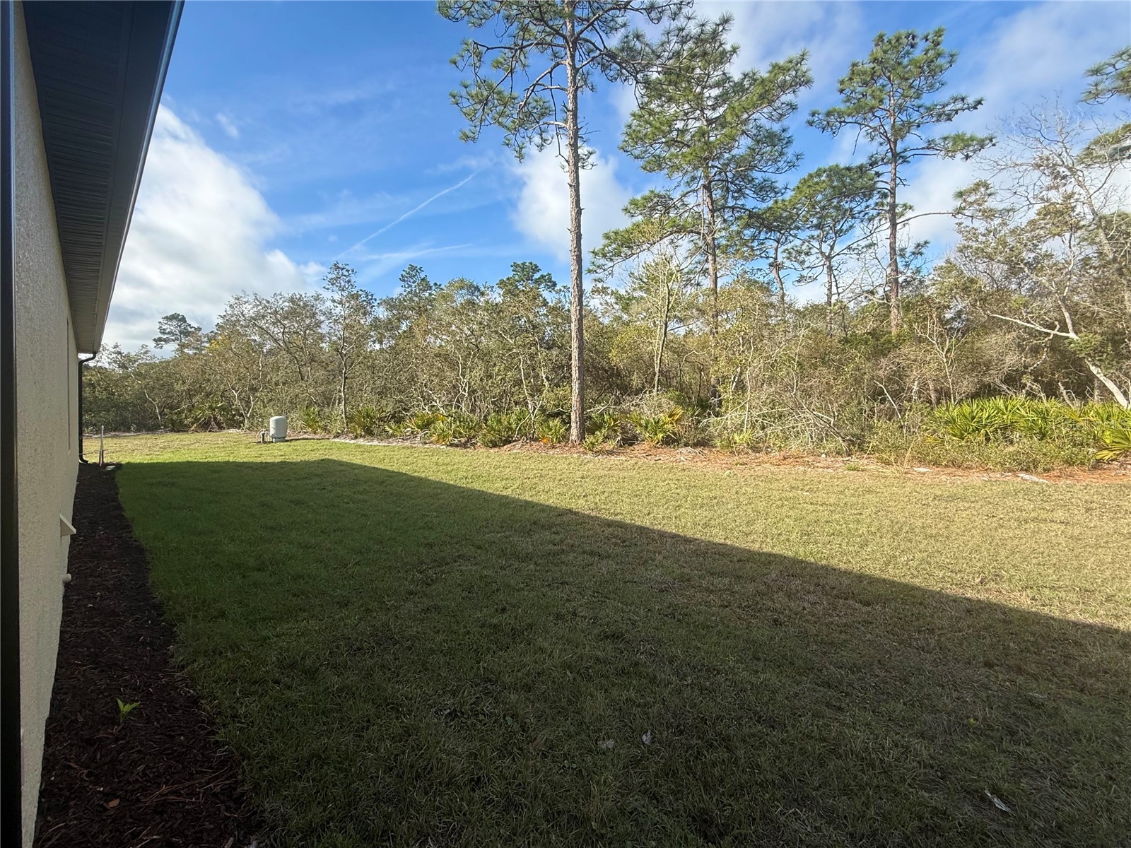 30260 W Thyme Avenue Eustis FL 32736 - LAKE NORRIS AND LAKE MARION G5109428 image38
