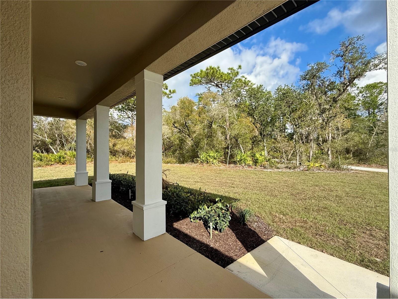 30260 W Thyme Avenue Eustis FL 32736 - LAKE NORRIS AND LAKE MARION G5109428 image41