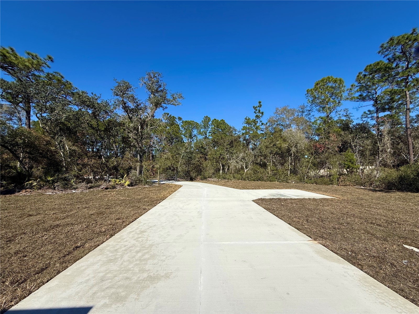30260 W Thyme Avenue Eustis FL 32736 - LAKE NORRIS AND LAKE MARION G5109428 image43