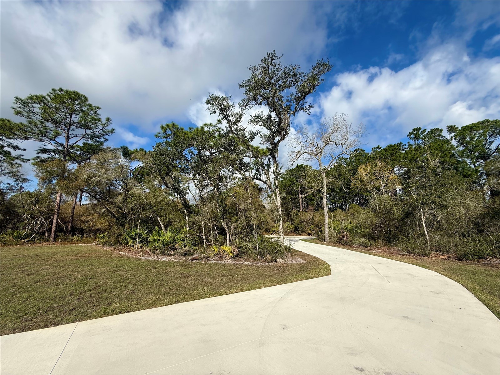 30260 W Thyme Avenue Eustis FL 32736 - LAKE NORRIS AND LAKE MARION G5109428 image45