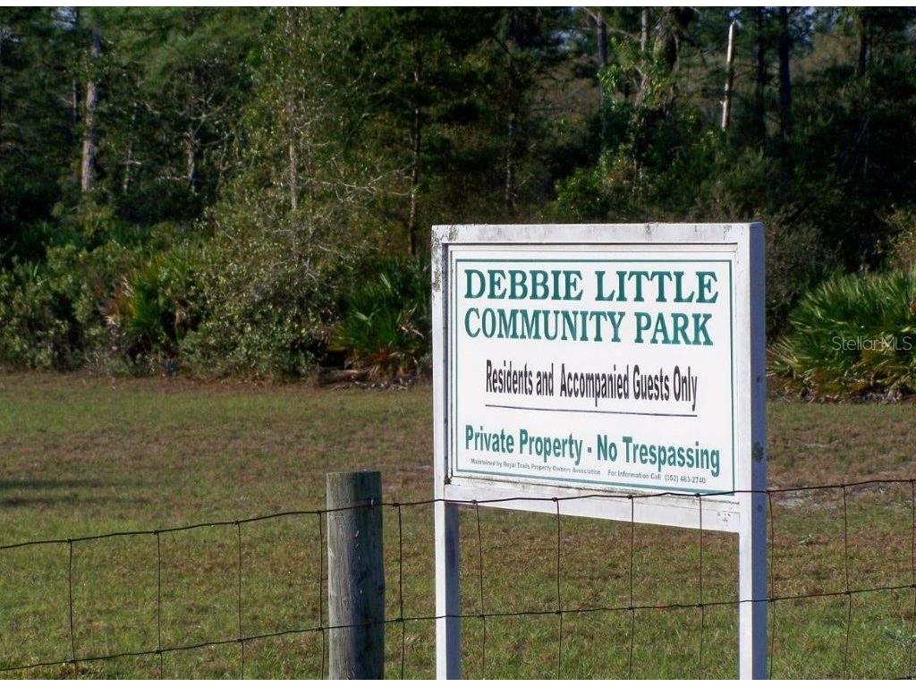 30260 W Thyme Avenue Eustis FL 32736 - LAKE NORRIS AND LAKE MARION G5109428 image50