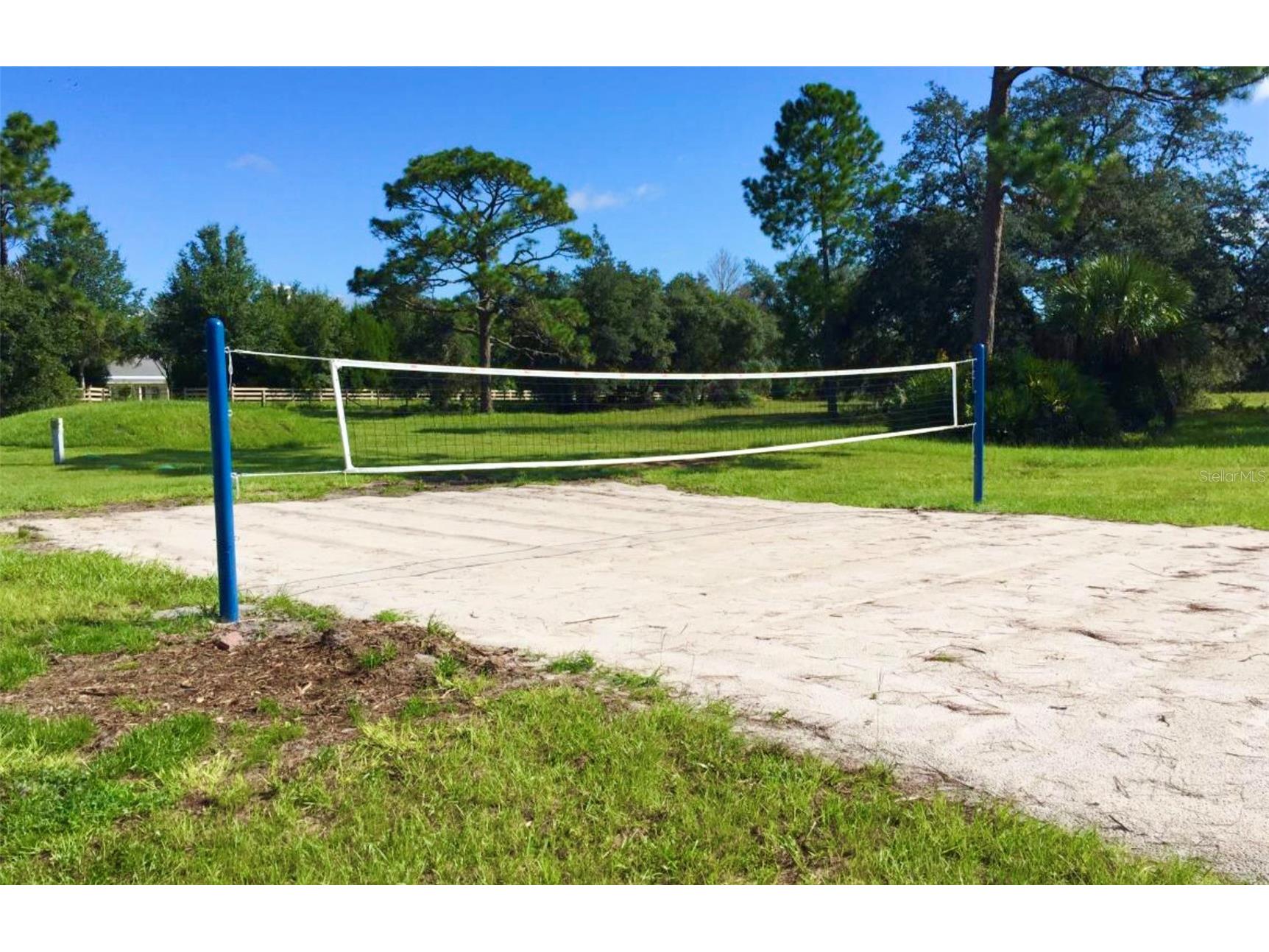 30260 W Thyme Avenue Eustis FL 32736 - LAKE NORRIS AND LAKE MARION G5109428 image54