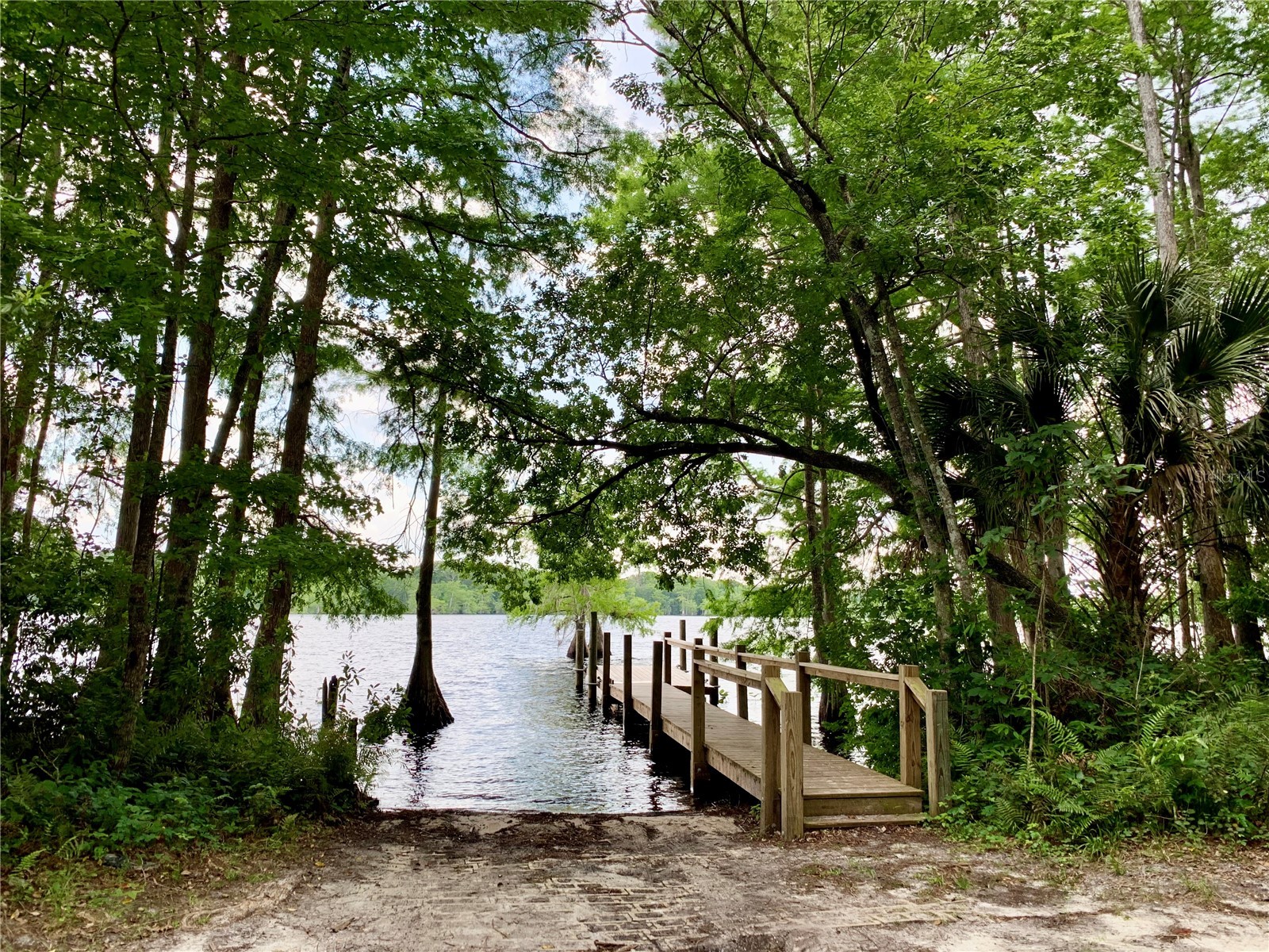 30260 W Thyme Avenue Eustis FL 32736 - LAKE NORRIS AND LAKE MARION G5109428 image61