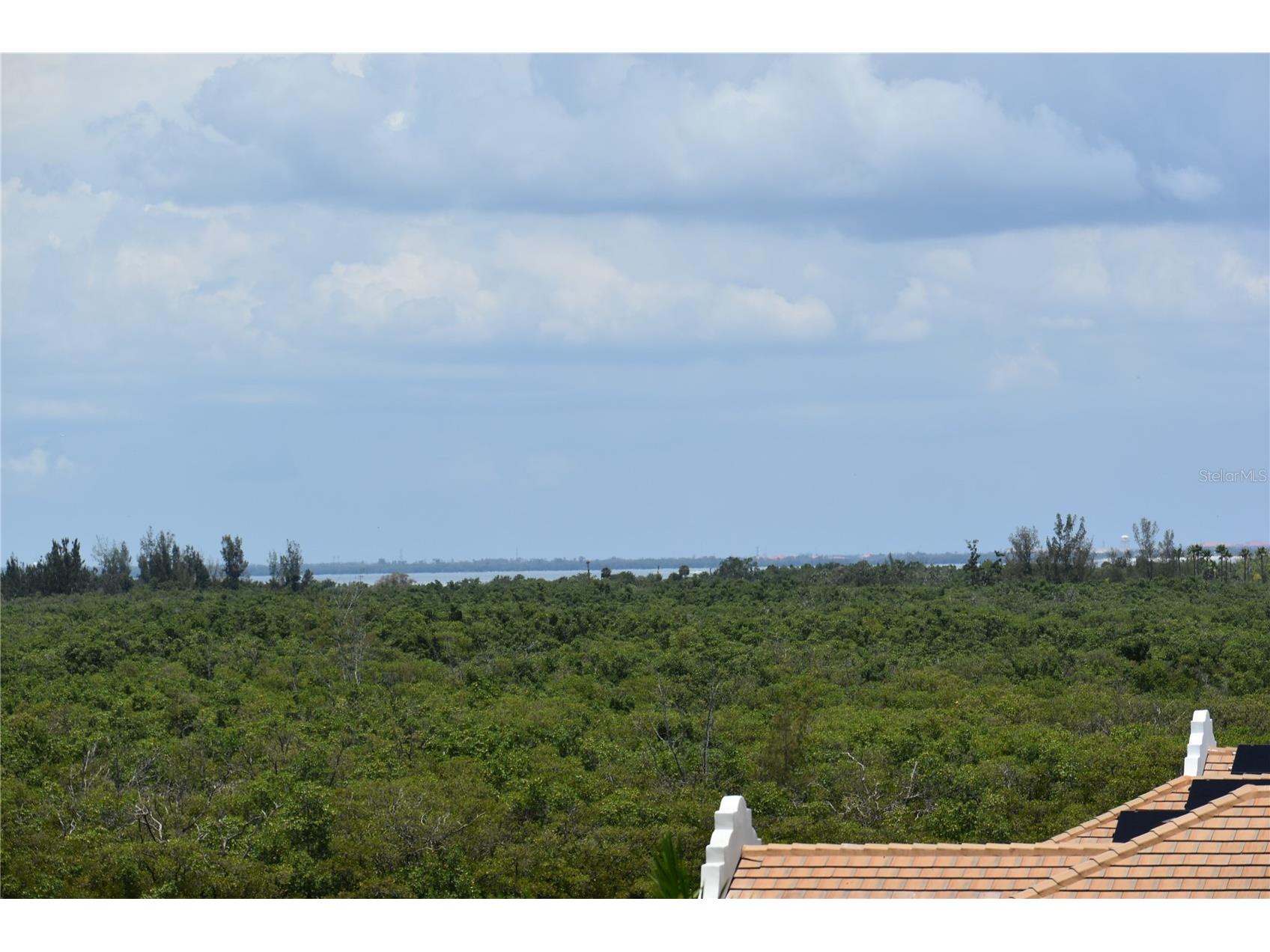 3027 Bermuda Sloop Circle Ruskin FL 33570 A4696414 image52