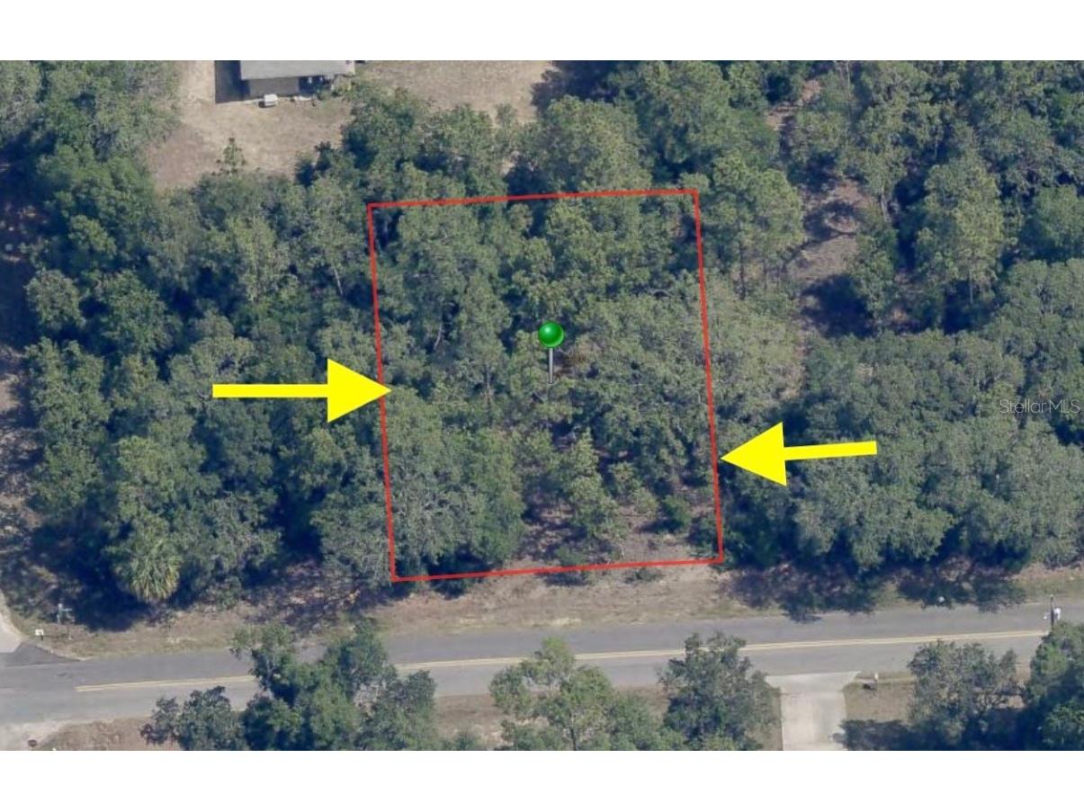 3027 E Dawson Drive Inverness FL 34453 OM698333 image1