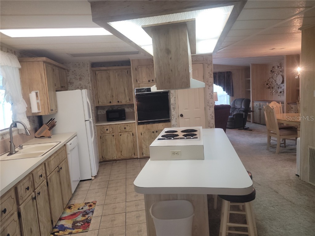 3027 Galaxy Lane Lakeland FL 33801 - Blue Lake L4957780 image13