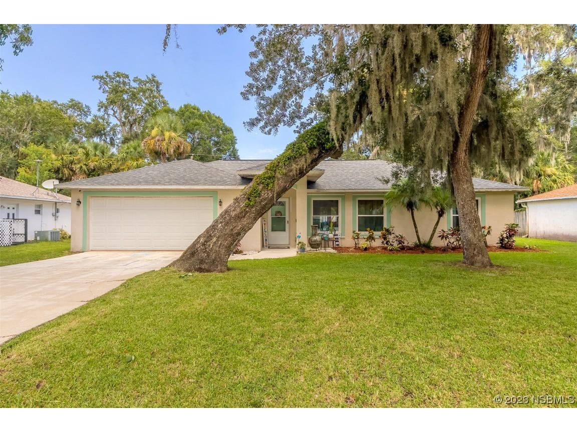 3027 Mango Tree Drive Edgewater FL 32141 NS1076633 image1