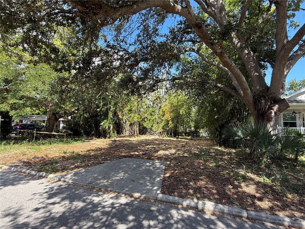 3027 W Helen Avenue Tampa FL 33611 TB8440274 image2