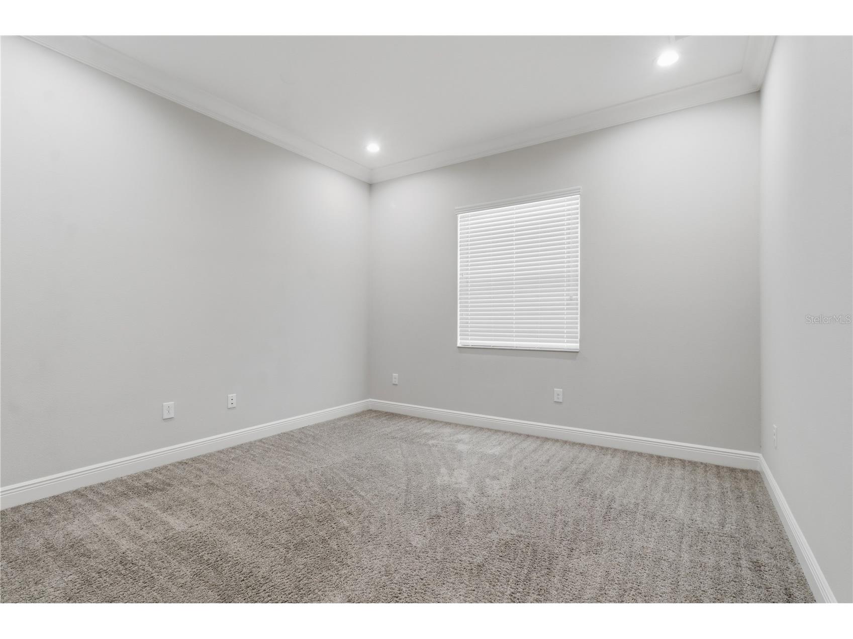 30271 Southern Wood Court Wesley Chapel FL 33543 TB8507621 image21