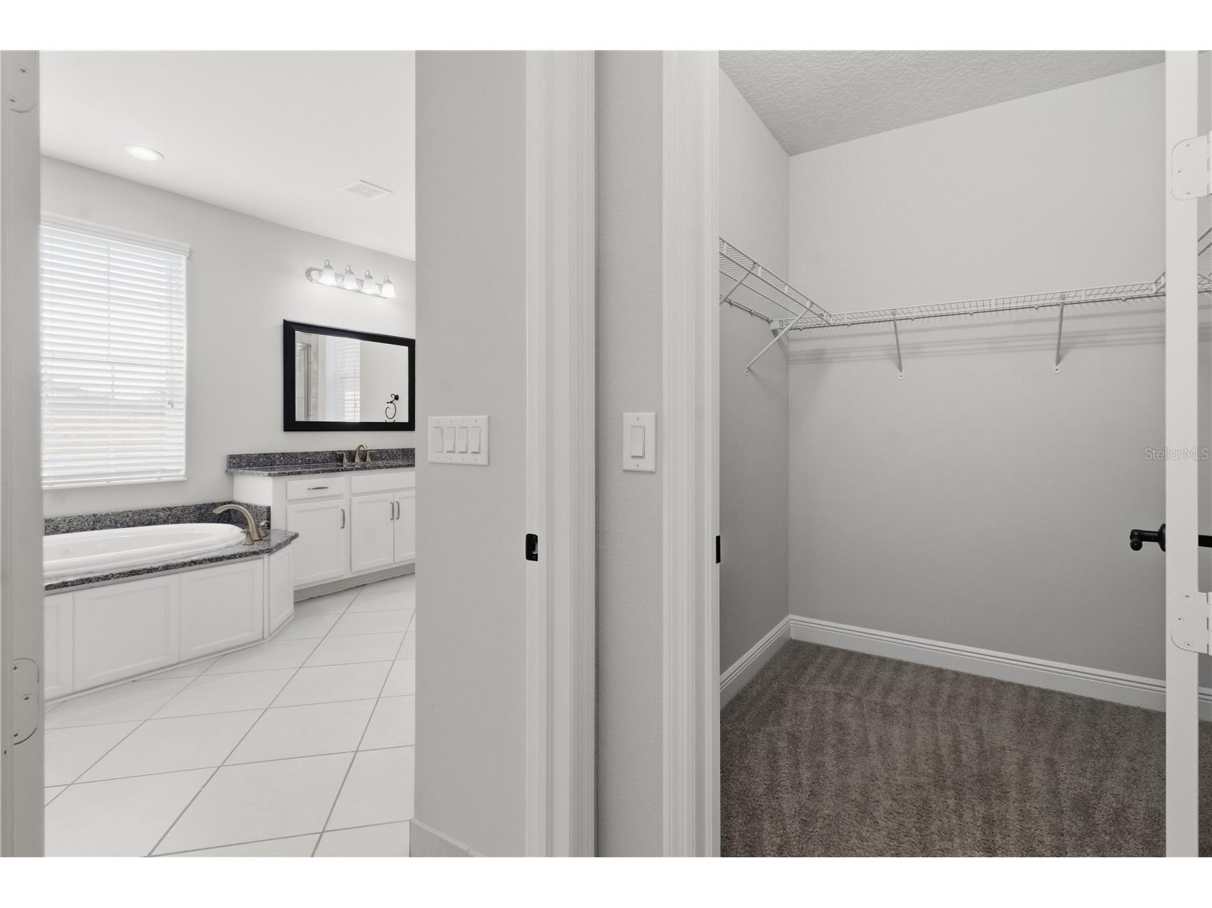 30271 Southern Wood Court Wesley Chapel FL 33543 TB8507621 image28
