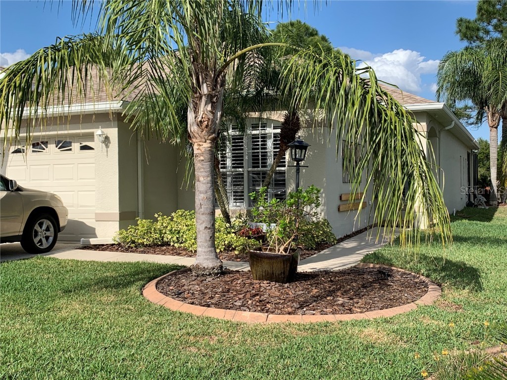 3028 Banyan Hill Lane Land O Lakes FL 34639 U8155121 image1