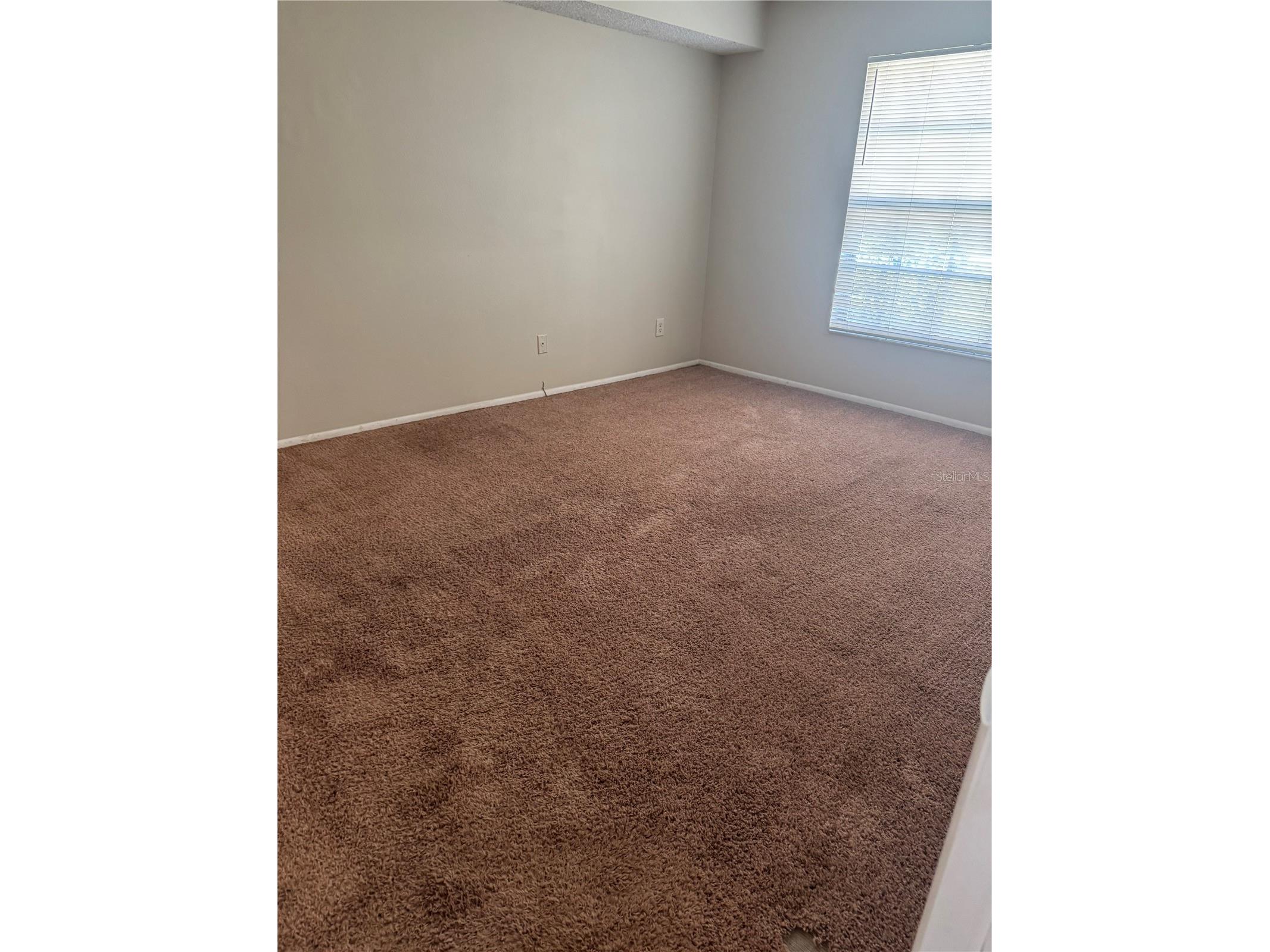 3028 Bonaventure Circle #103 Palm Harbor FL 34684 TB8487773 image4