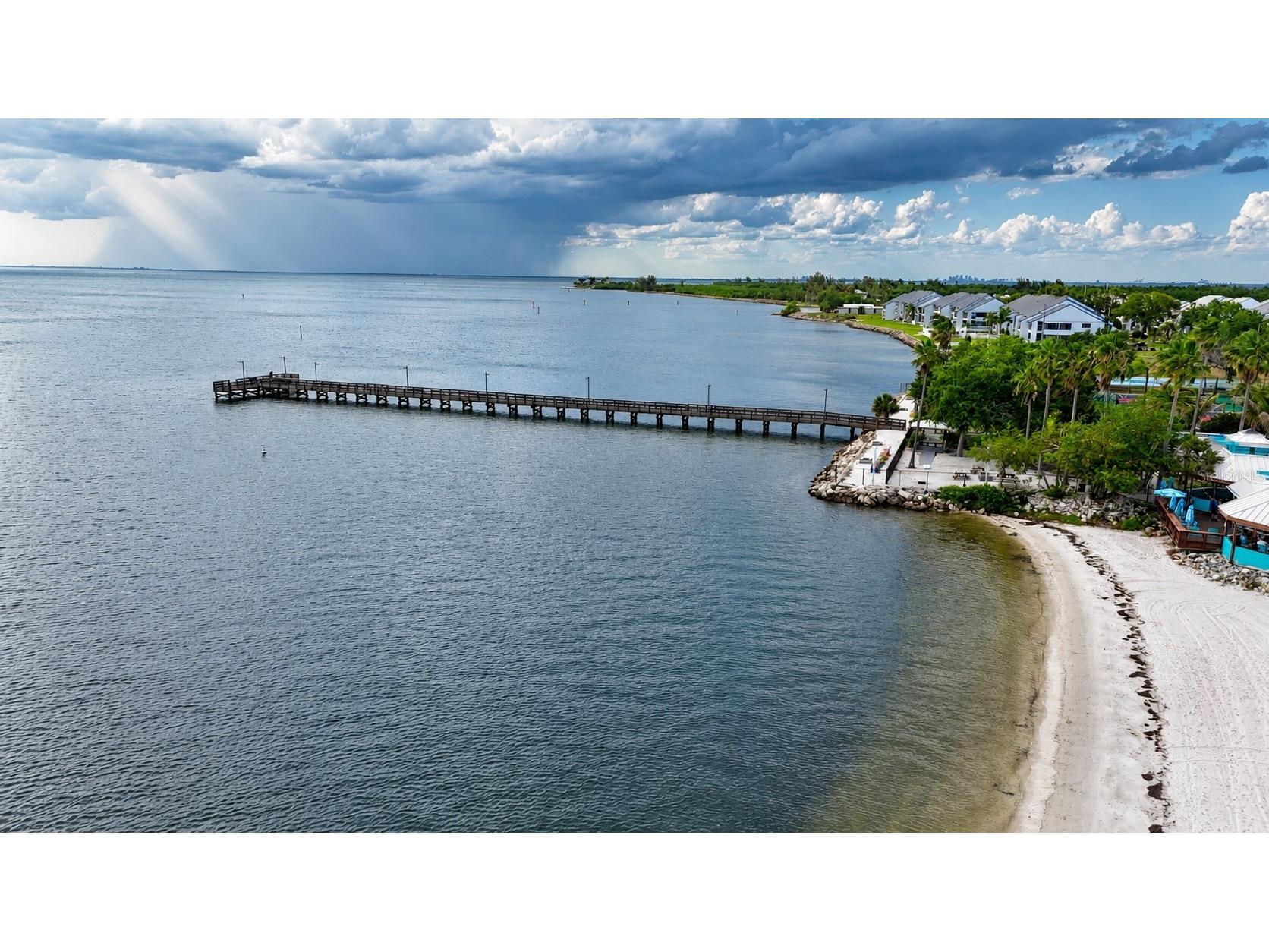 3028 Christophers Watch Lane Ruskin FL 33570 TB8510723 image92