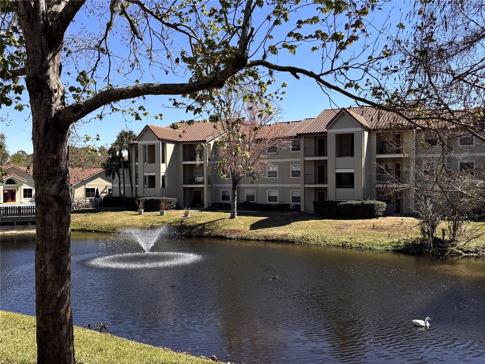 3028 Parkway Boulevard #210 Kissimmee FL 34747 S5133256 image4