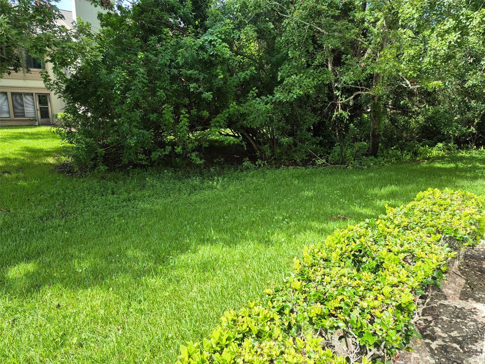 3028 Red Oak Court #102 Palm Harbor FL 34684 TB8424594 image11