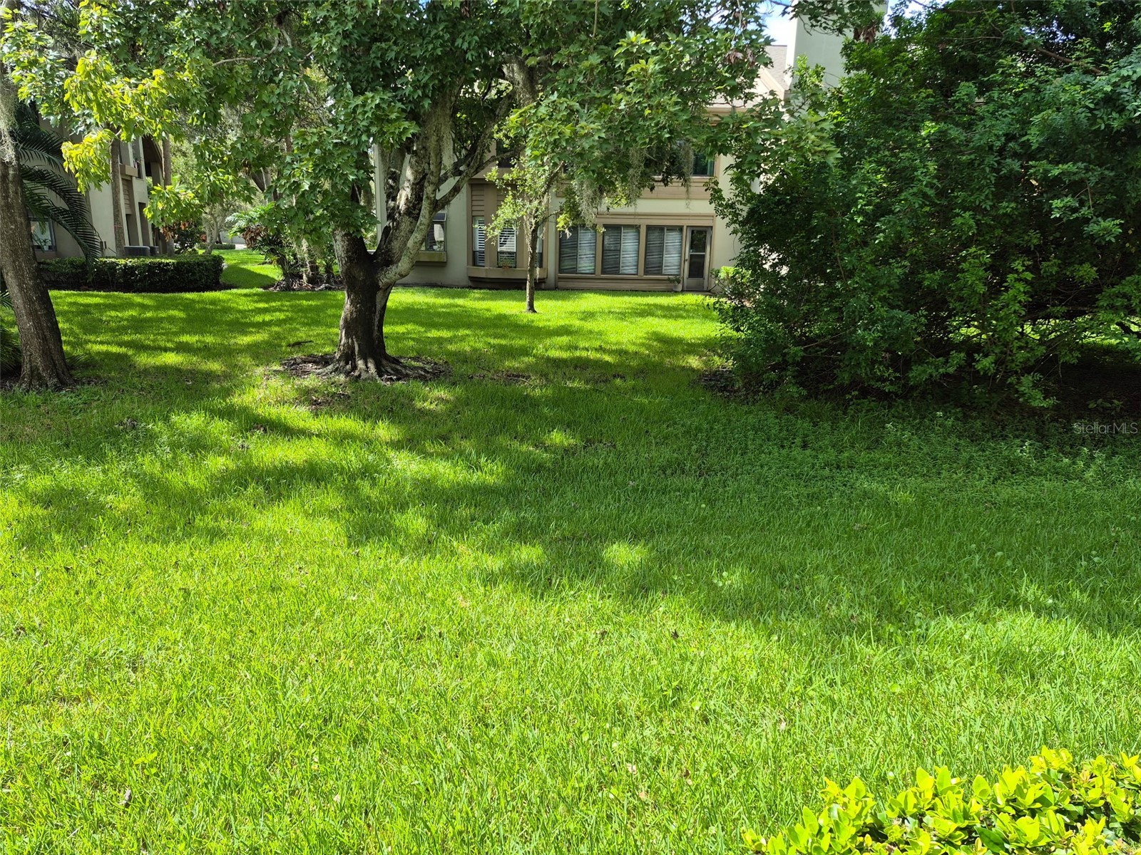 3028 Red Oak Court #102 Palm Harbor FL 34684 TB8424594 image12