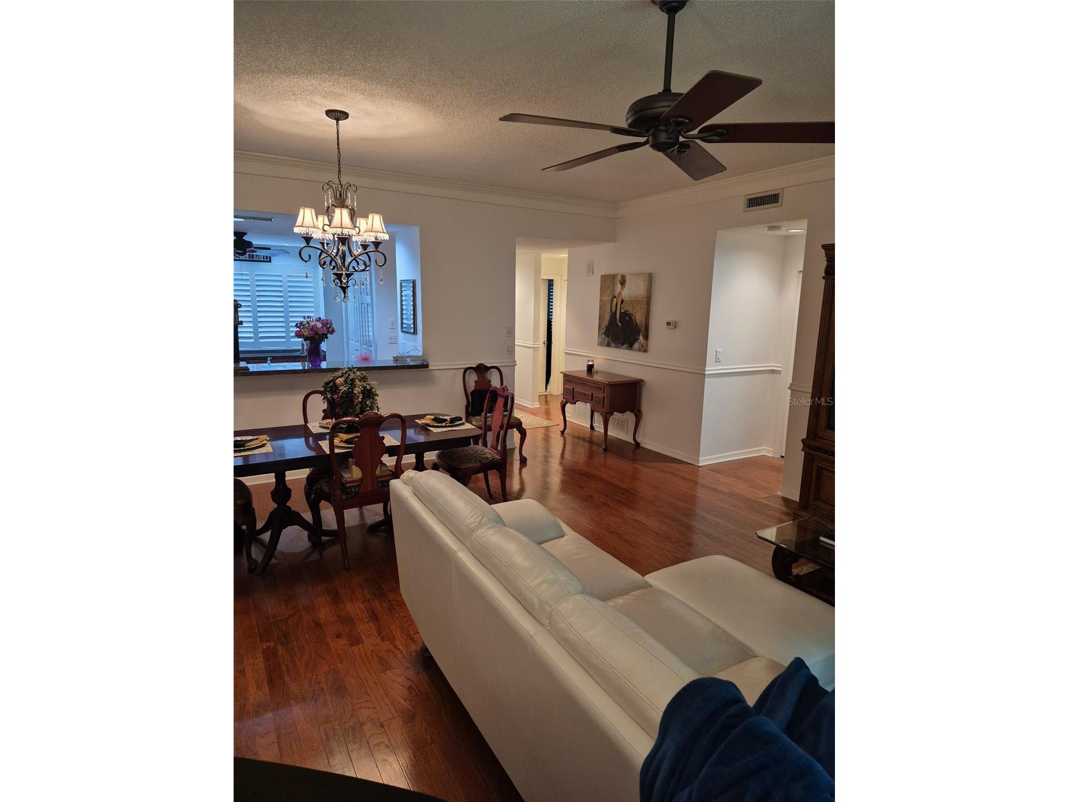 3028 Red Oak Court #102 Palm Harbor FL 34684 TB8424594 image4