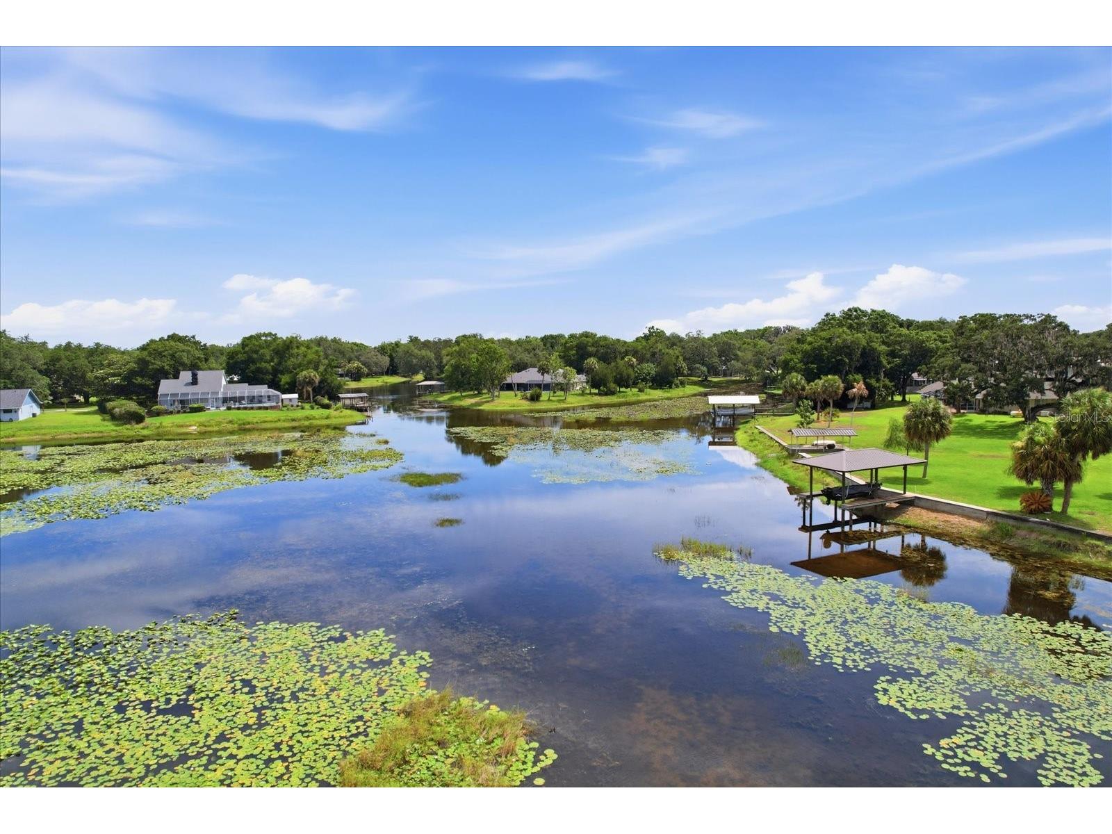 3028 S Davis Lake Drive Inverness FL 34450 TB8514355 image68