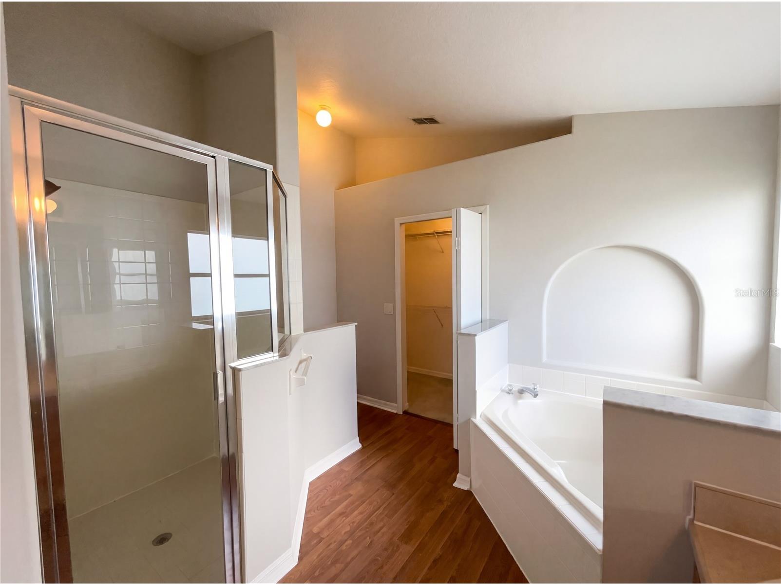 3028 Samosa Hill Circle Clermont FL 34714 O6410767 image23