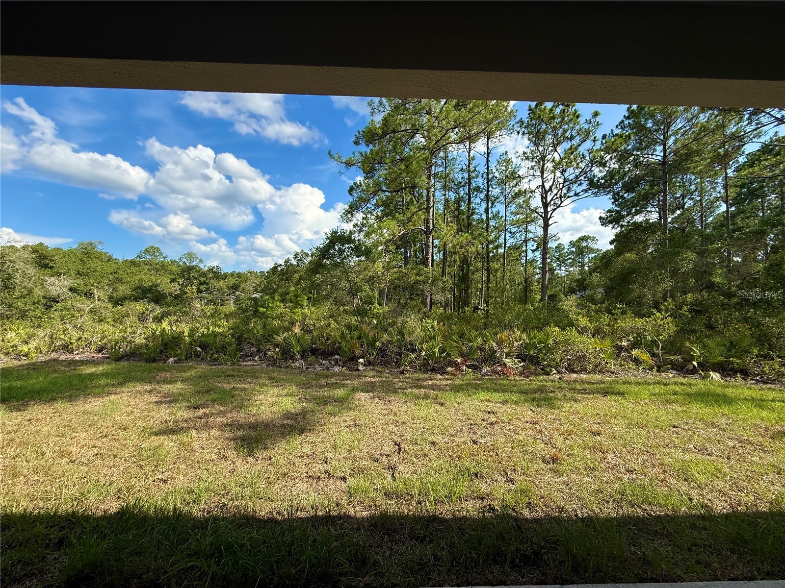 30280 W Bluebell Avenue Eustis FL 32736 - LAKE NORRIS G5114854 image39