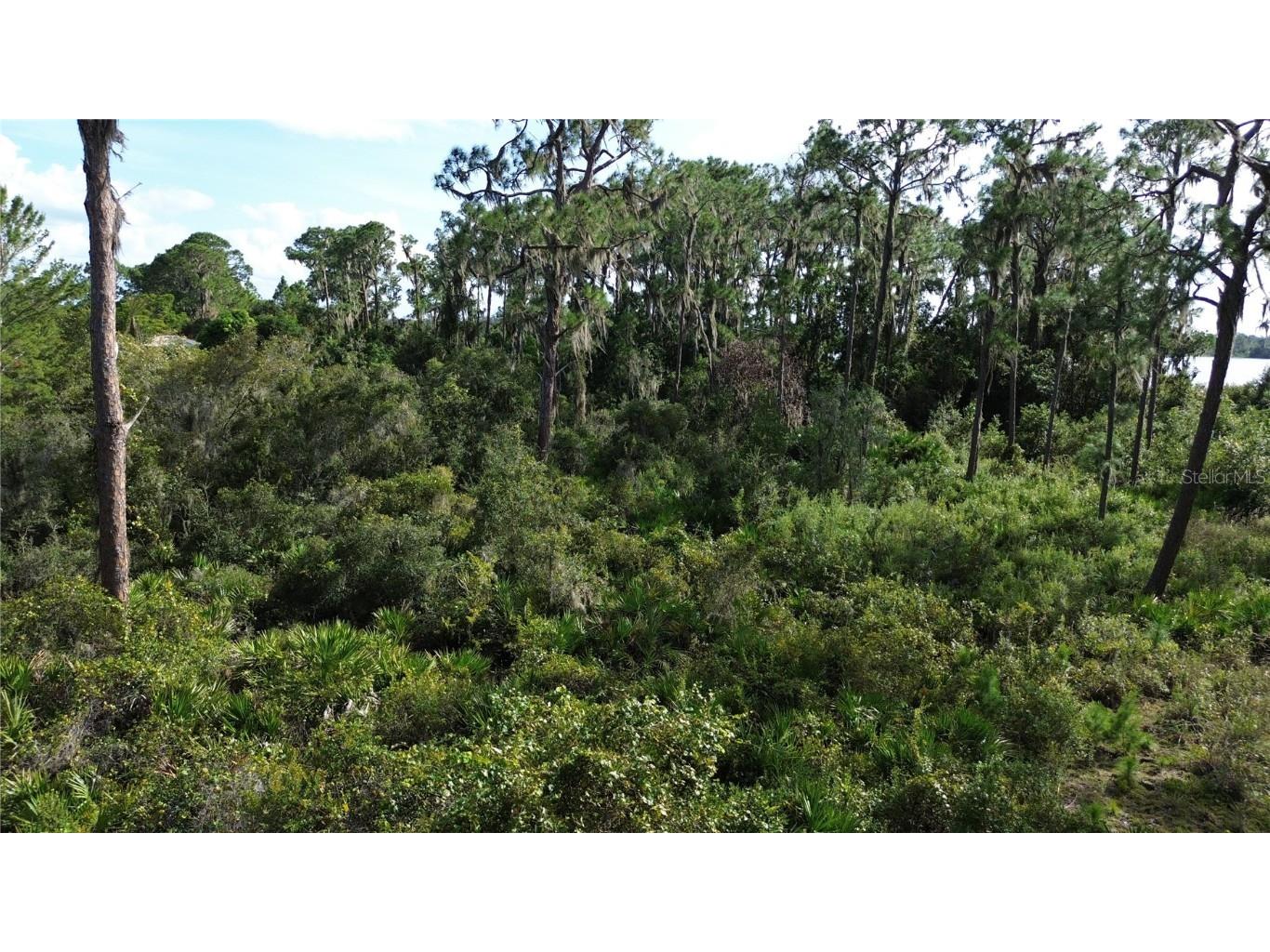 3029 Hawks Landing Circle Sebring FL 33875 - LAKE HUCKLEBERRY L4948867 image10