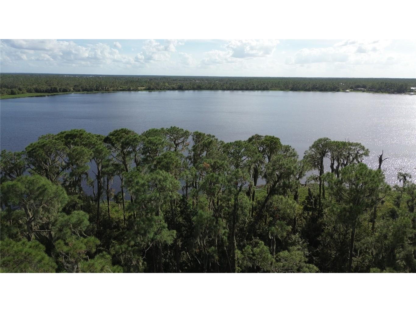 3029 Hawks Landing Circle Sebring FL 33875 - LAKE HUCKLEBERRY L4948867 image13