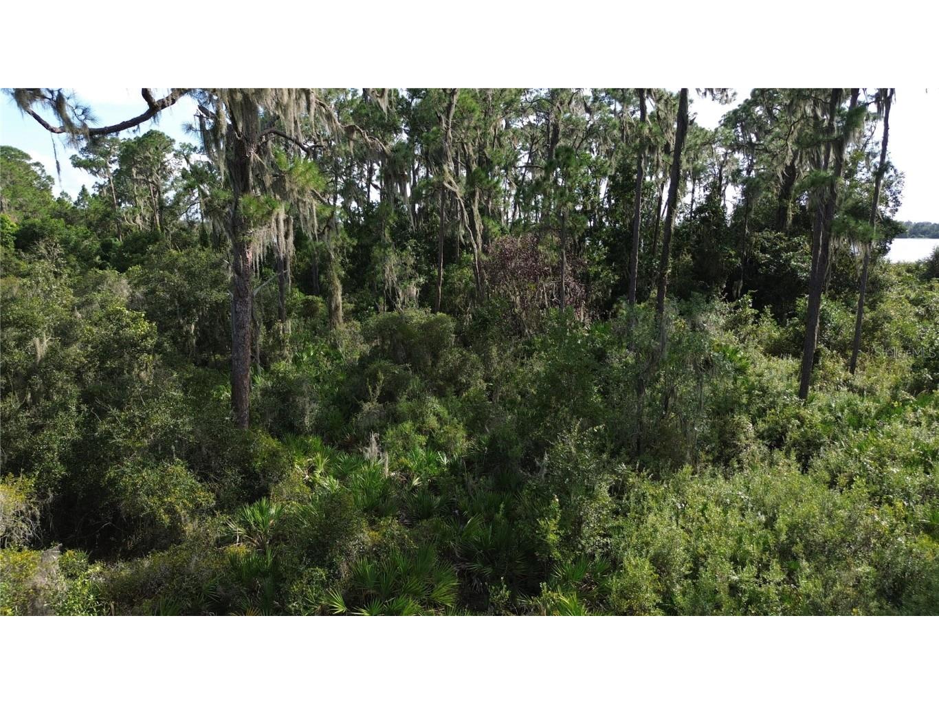 3029 Hawks Landing Circle Sebring FL 33875 - LAKE HUCKLEBERRY L4948867 image14