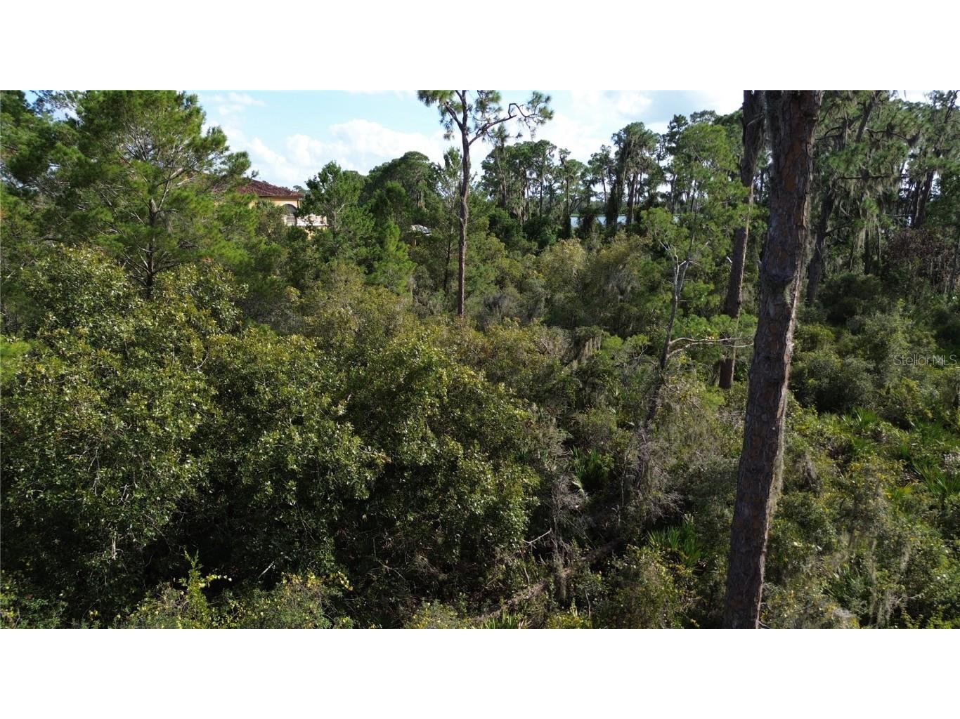 3029 Hawks Landing Circle Sebring FL 33875 - LAKE HUCKLEBERRY L4948867 image15