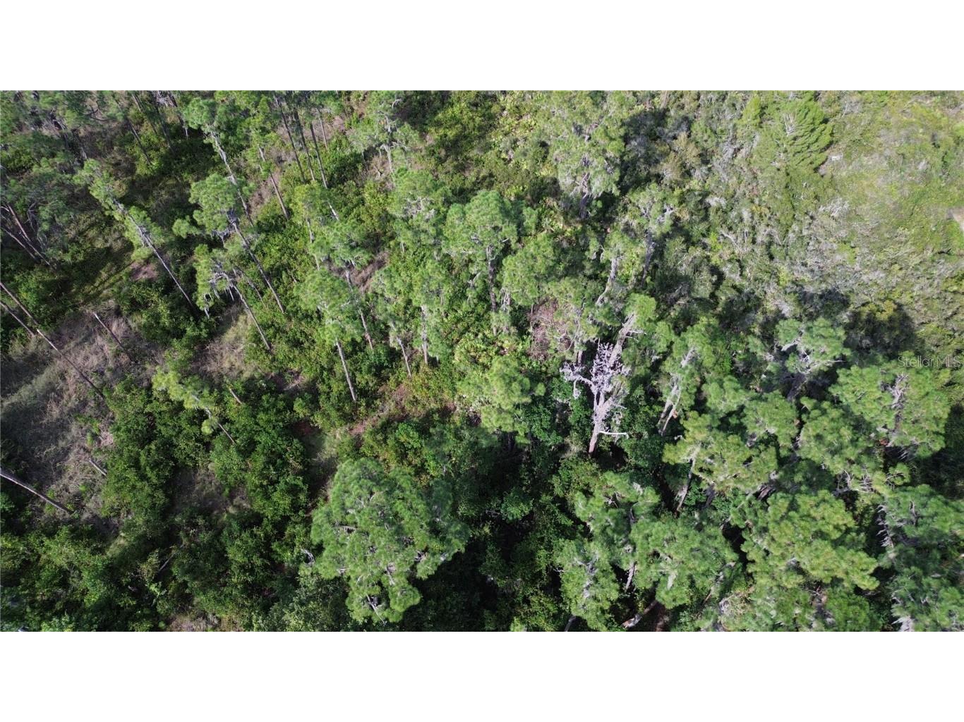 3029 Hawks Landing Circle Sebring FL 33875 - LAKE HUCKLEBERRY L4948867 image16