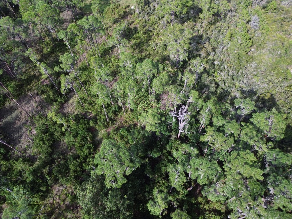 3029 Hawks Landing Circle Sebring FL 33875 - LAKE HUCKLEBERRY L4948867 image17