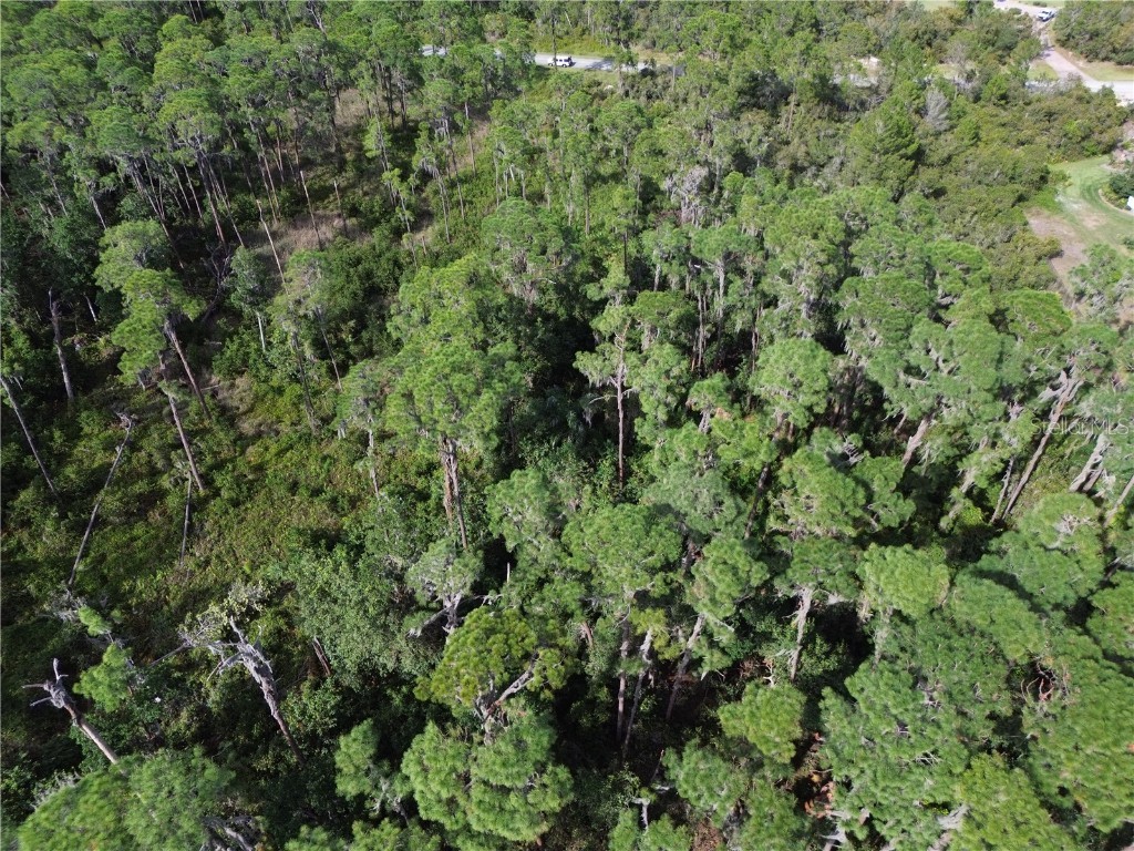 3029 Hawks Landing Circle Sebring FL 33875 - LAKE HUCKLEBERRY L4948867 image18