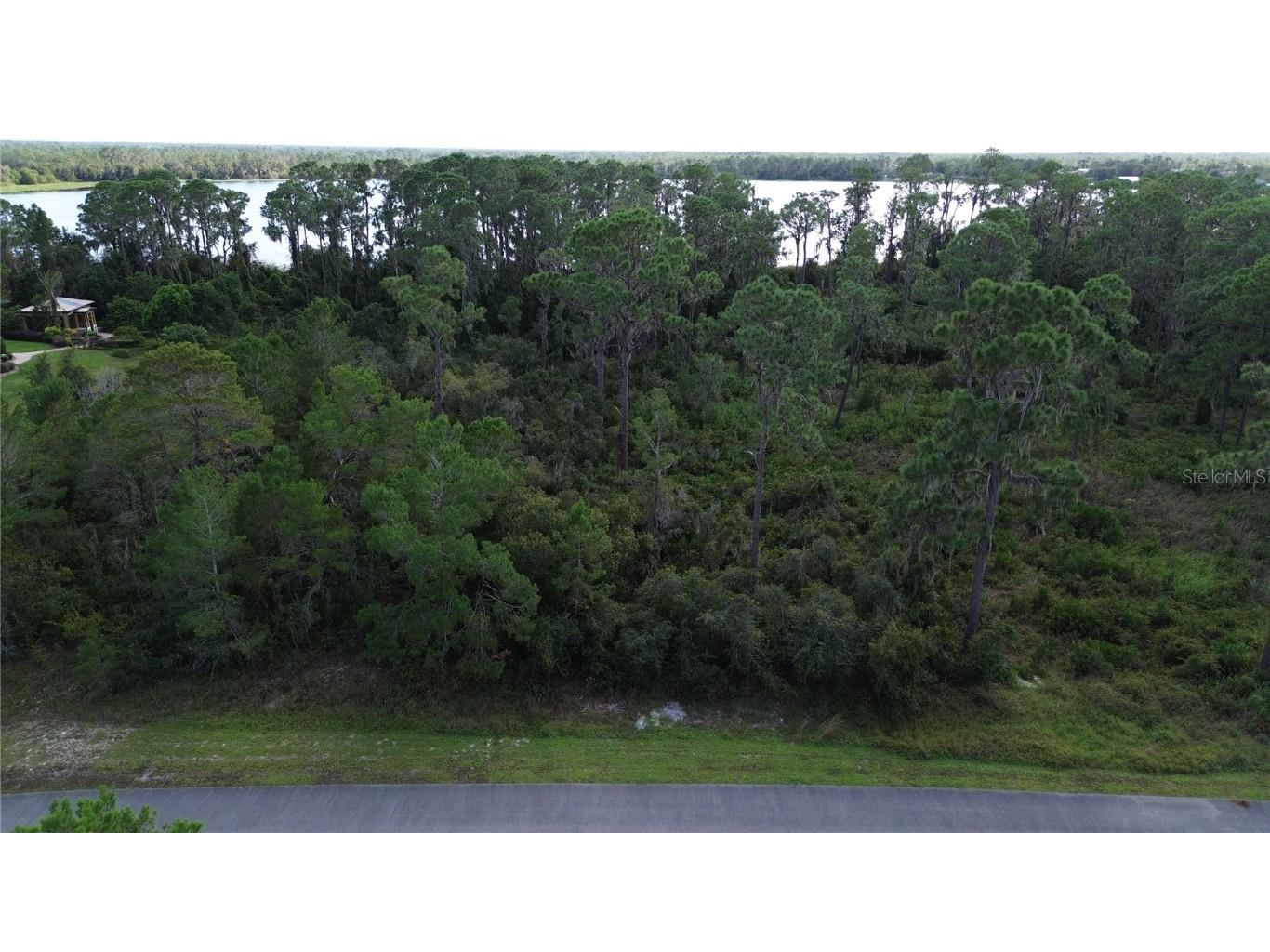 3029 Hawks Landing Circle Sebring FL 33875 - LAKE HUCKLEBERRY L4948867 image2