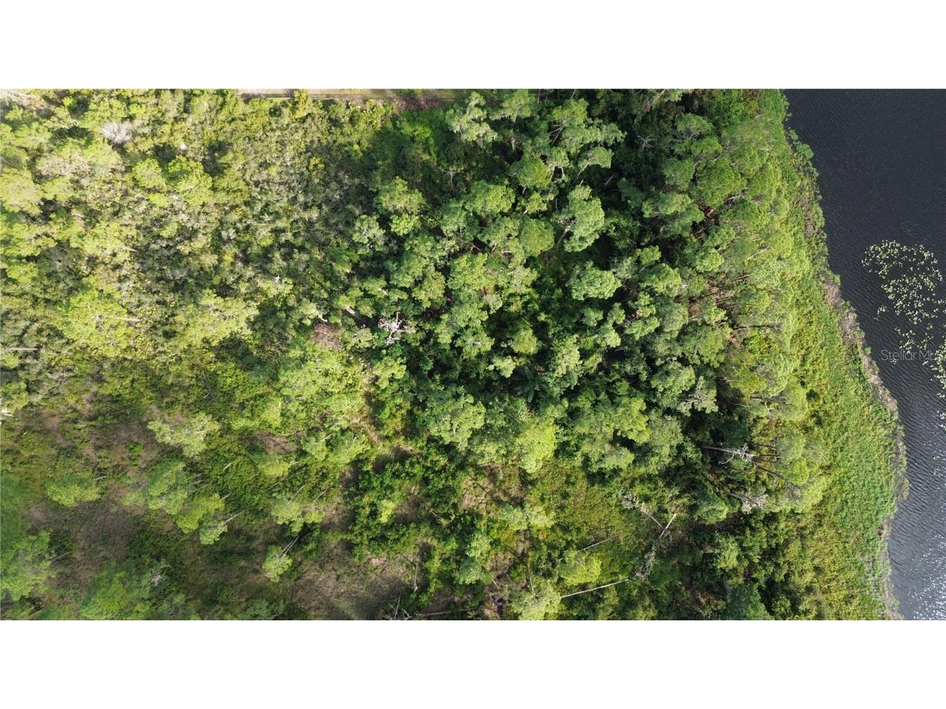 3029 Hawks Landing Circle Sebring FL 33875 - LAKE HUCKLEBERRY L4948867 image7