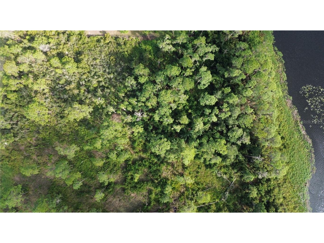 3029 Hawks Landing Circle Sebring FL 33875 - LAKE HUCKLEBERRY L4948867 image8