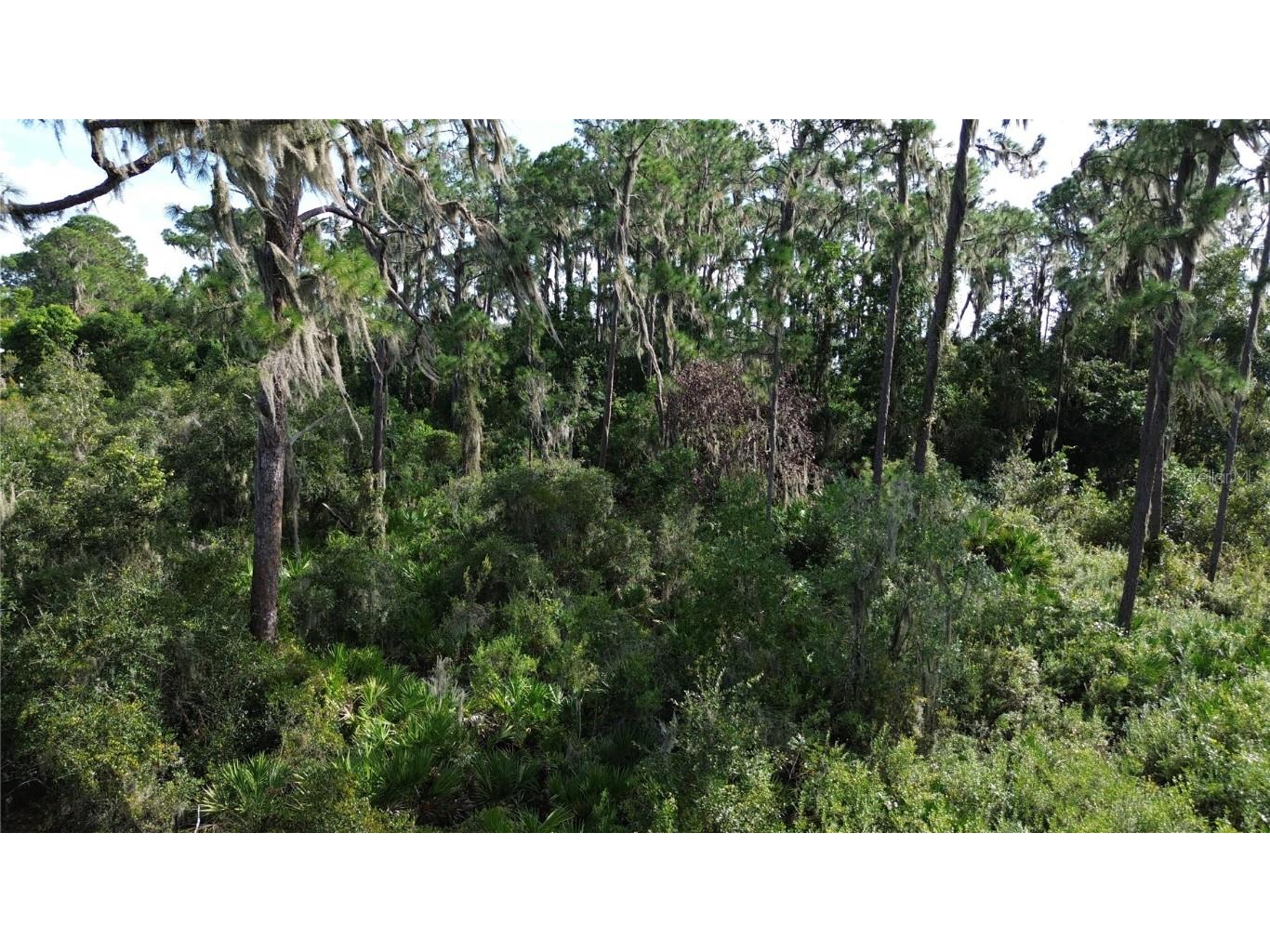 3029 Hawks Landing Circle Sebring FL 33875 - LAKE HUCKLEBERRY L4948867 image9