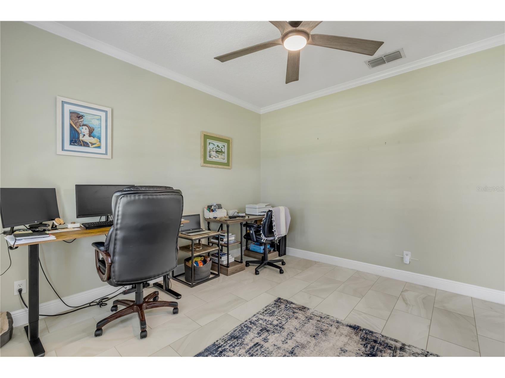 3029 Isola Bella Boulevard Mount Dora FL 32757 NS1087975 image11