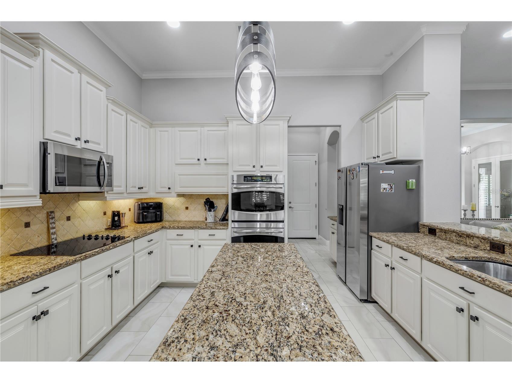 3029 Isola Bella Boulevard Mount Dora FL 32757 NS1087975 image24