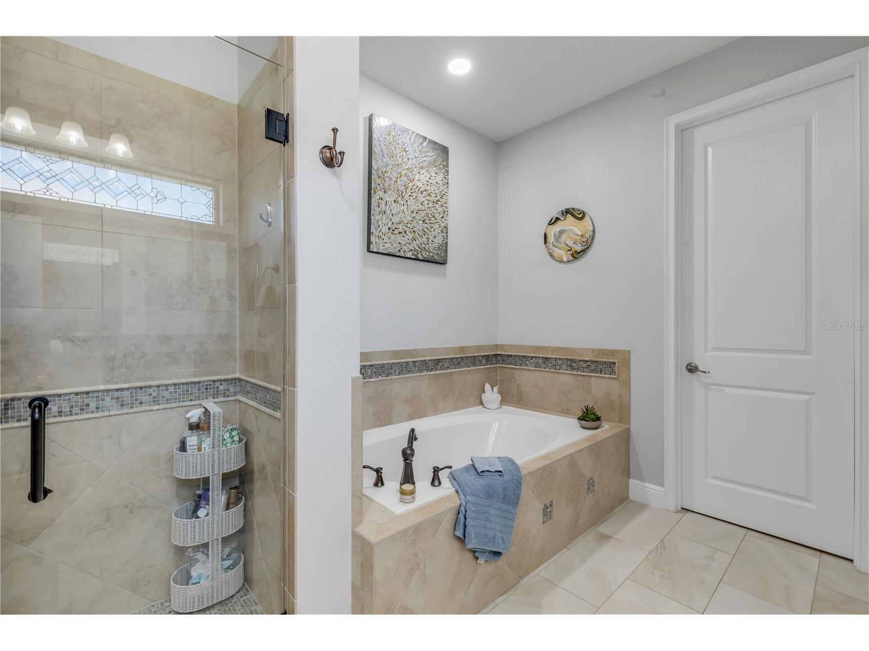 3029 Isola Bella Boulevard Mount Dora FL 32757 NS1087975 image38