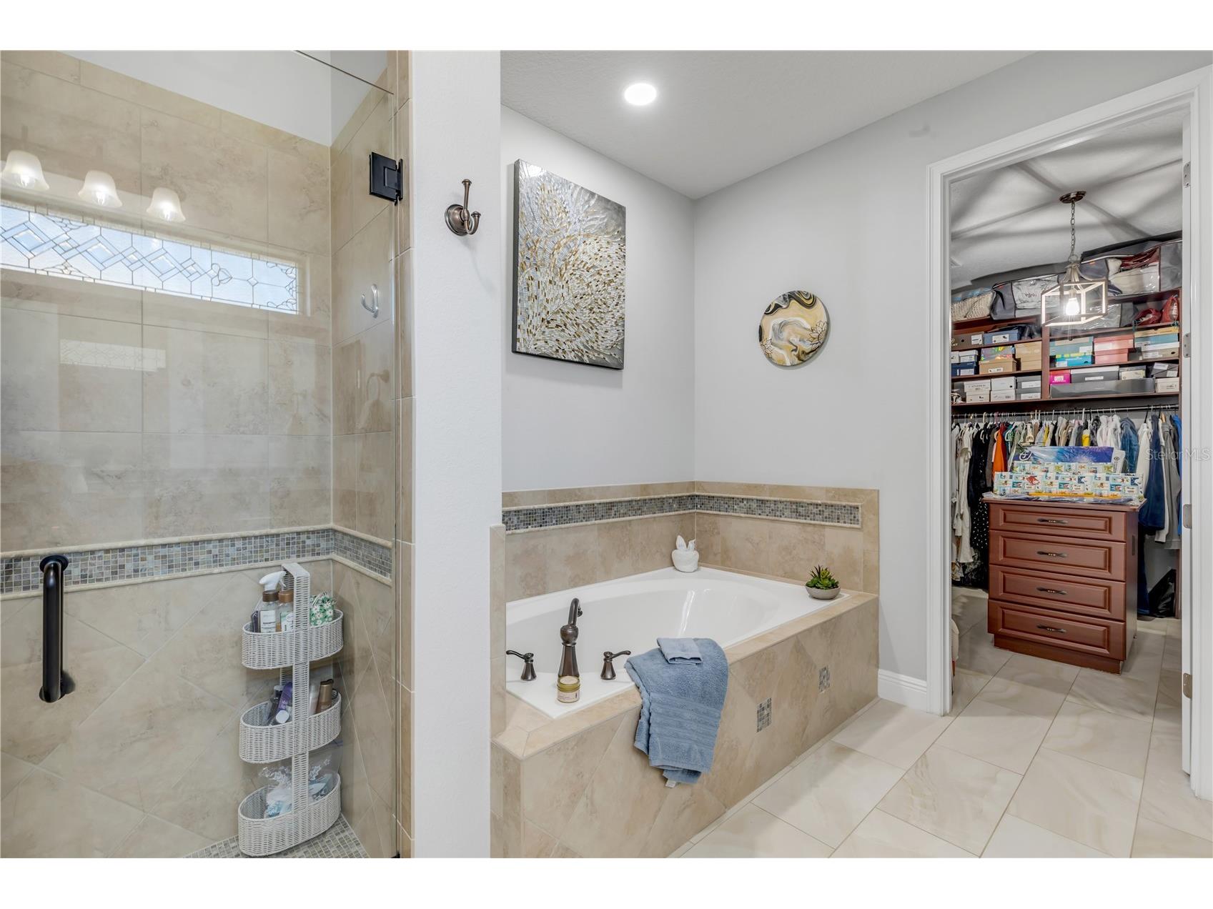3029 Isola Bella Boulevard Mount Dora FL 32757 NS1087975 image39