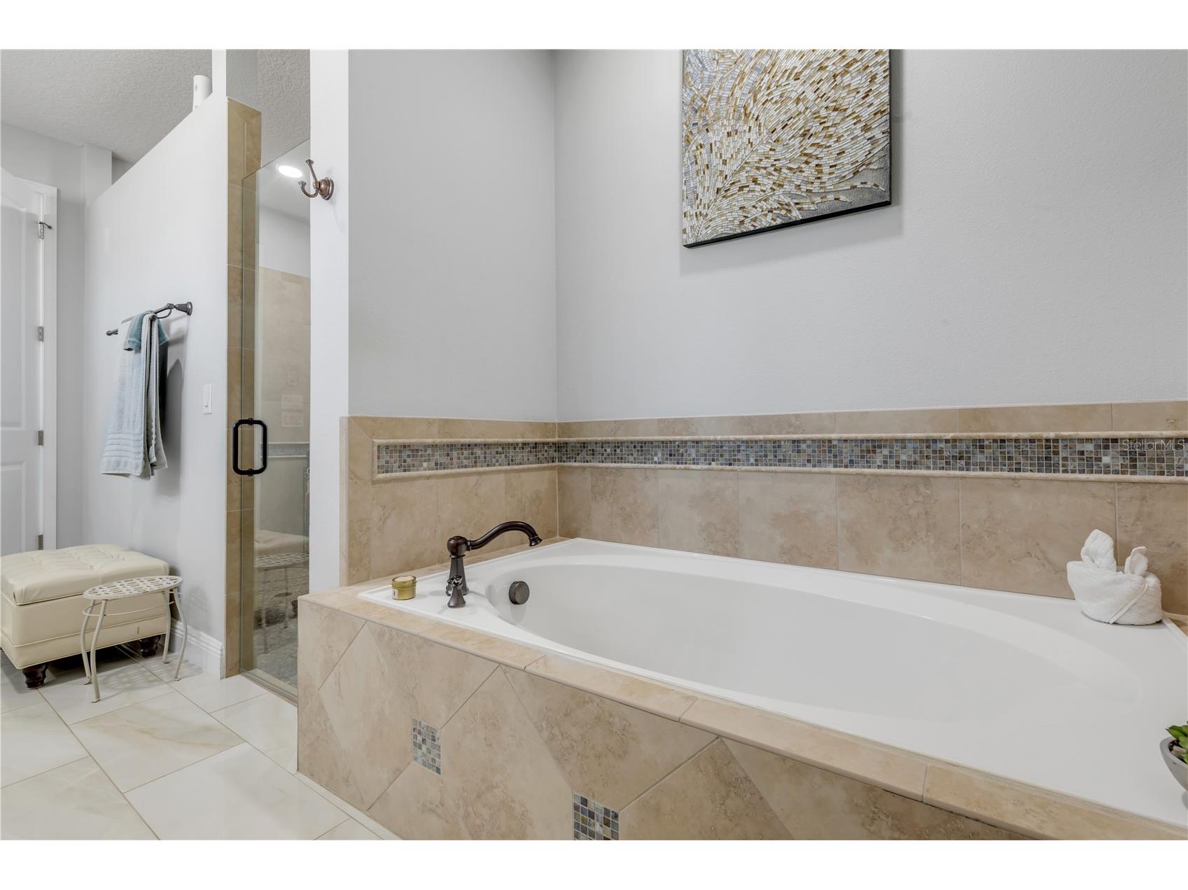 3029 Isola Bella Boulevard Mount Dora FL 32757 NS1087975 image41