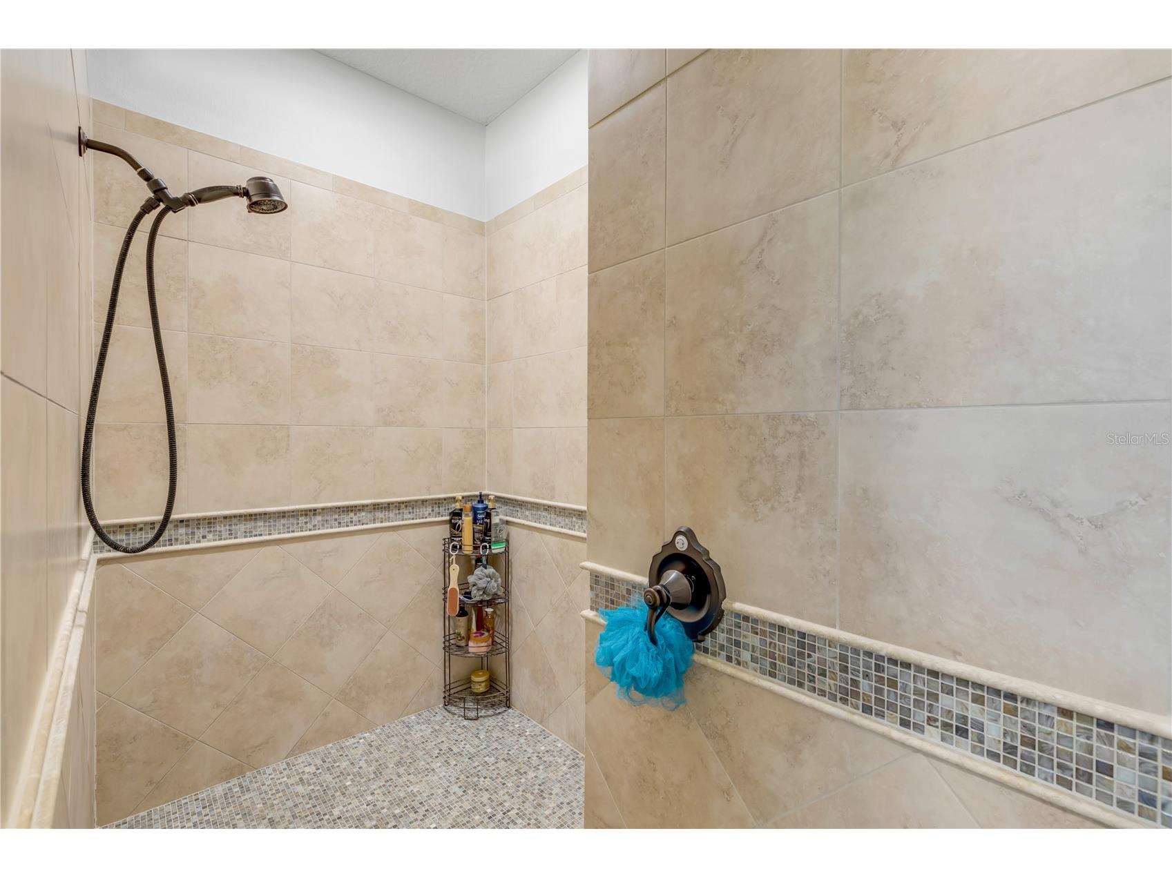 3029 Isola Bella Boulevard Mount Dora FL 32757 NS1087975 image43