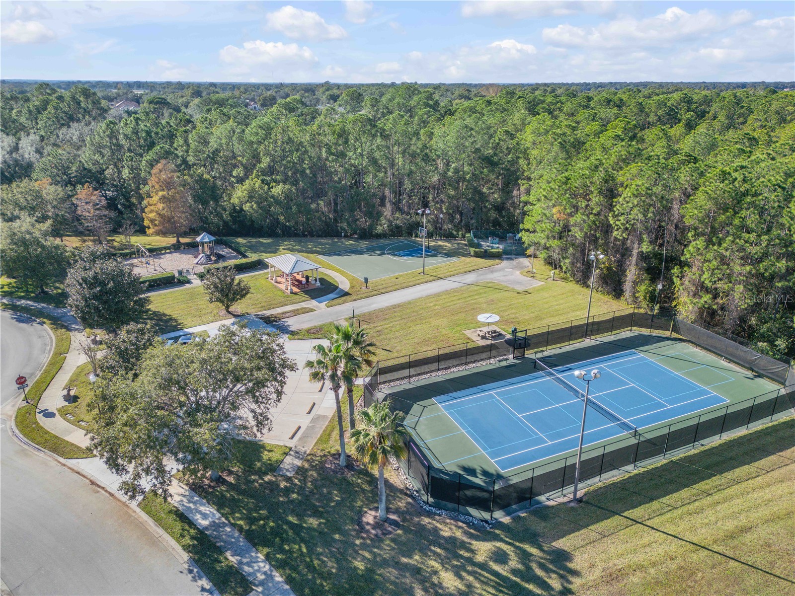 3029 Isola Bella Boulevard Mount Dora FL 32757 NS1087975 image79