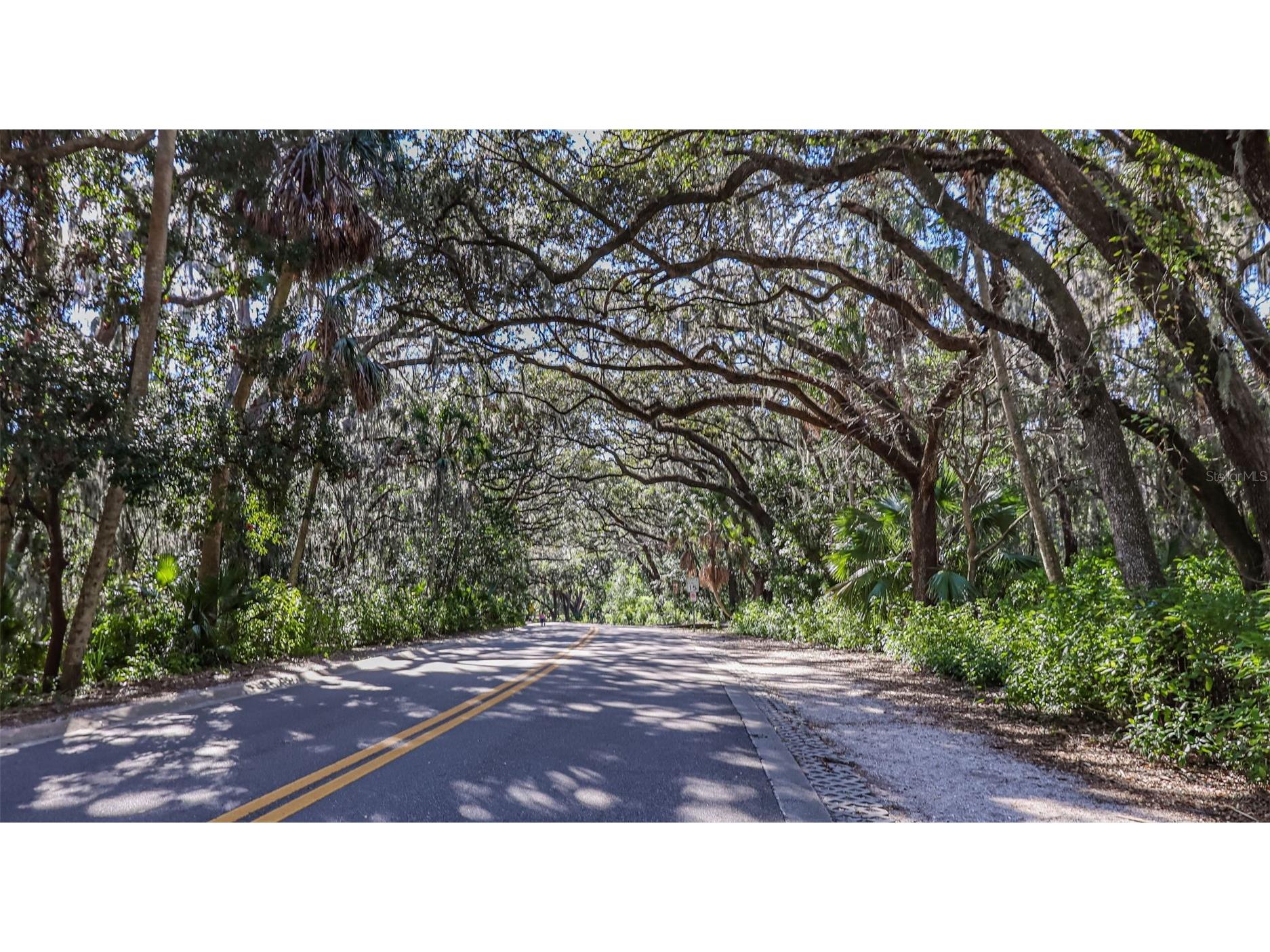 3029 Key Harbor Drive Safety Harbor FL 34695 TB8502057 image87